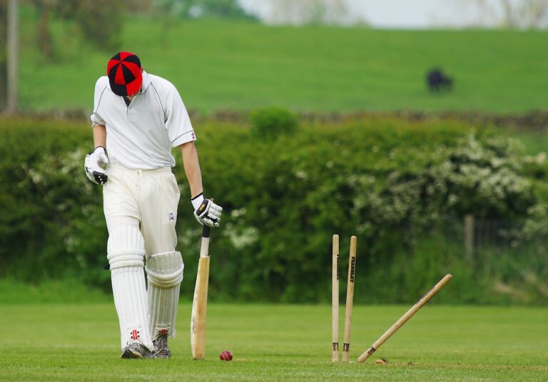 Cricket and Responsible Business Practices: Ethical Standards in Sponsorship and Advertising